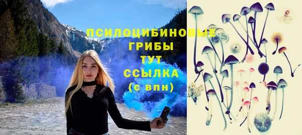 ешки Абаза