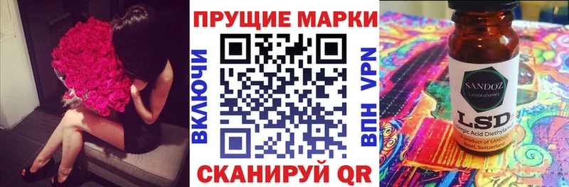 магазин продажи наркотиков  Шенкурск  Наркотические марки 1,8мг 