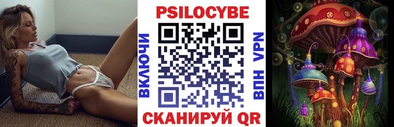 Галлюциногенные грибы GOLDEN TEACHER  Шенкурск 
